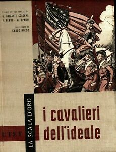I cavalieri dell'ideale