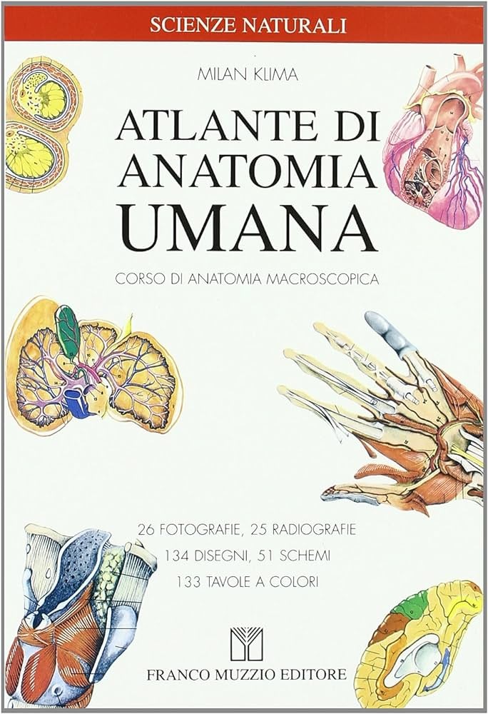 Atlante di anatomia umana. Corso di anatomia macroscopica