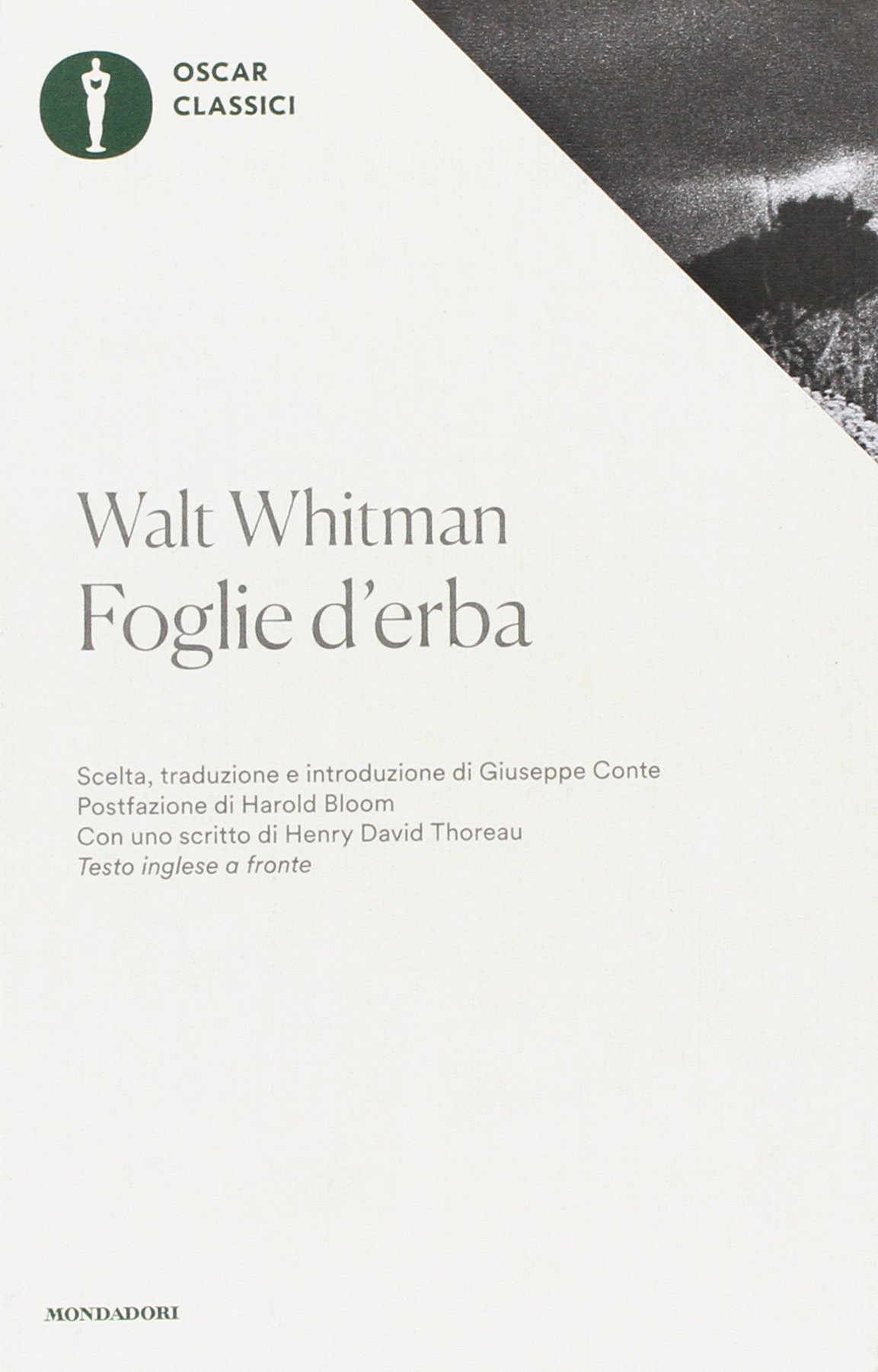 Foglie d'erba