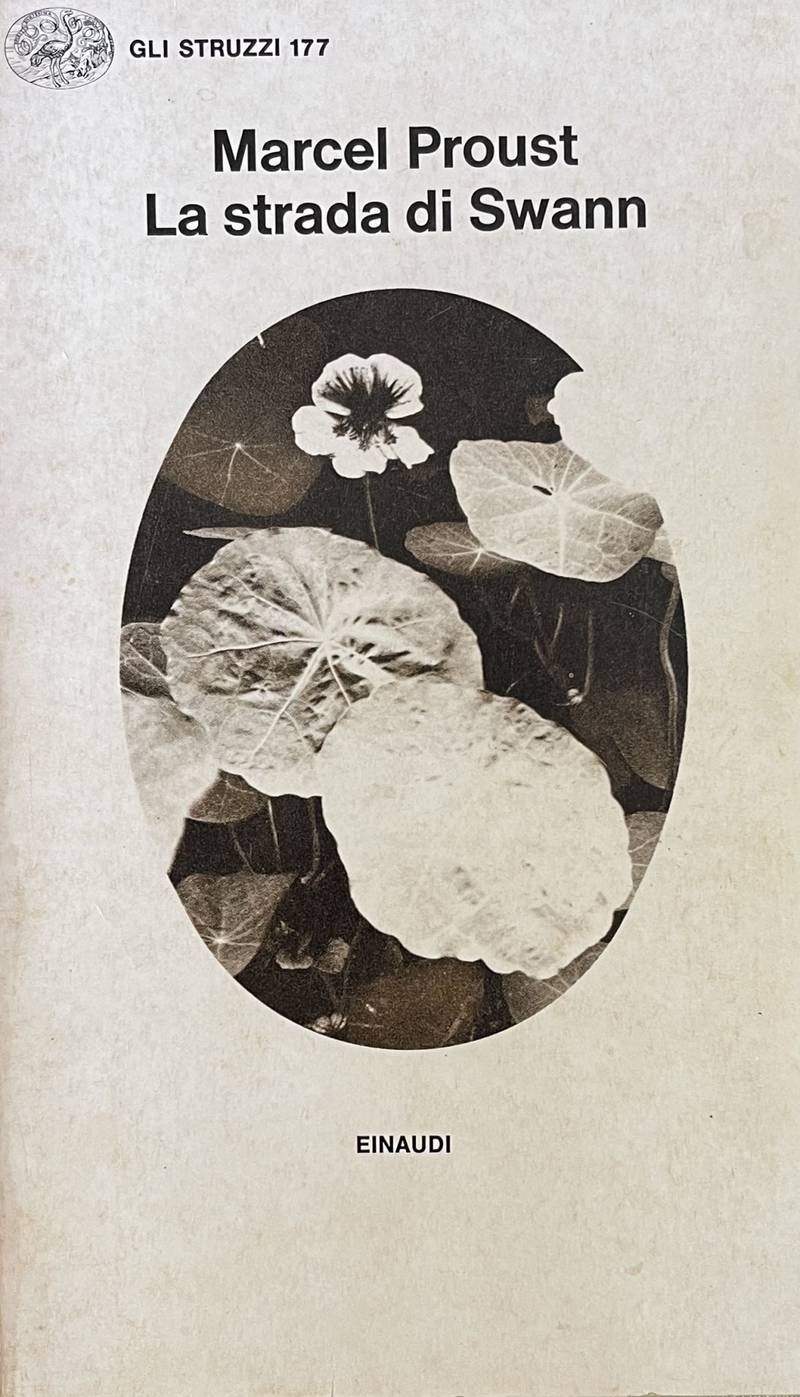 La strada di Swann
