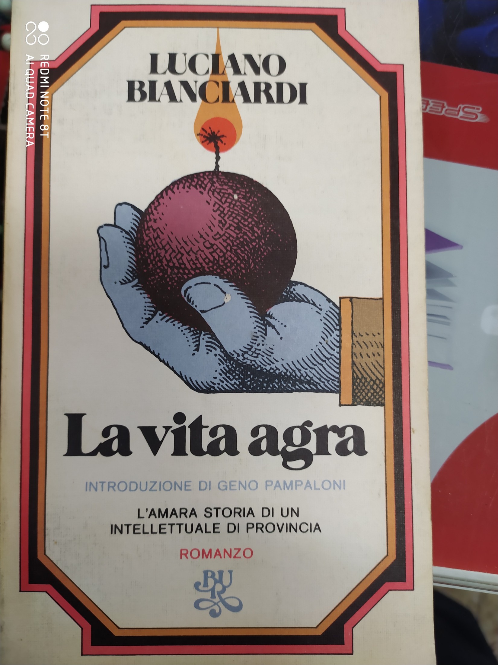 La vita agra